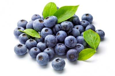 Powdered blueberries give the honey an unexpected dark purple color, a slightly tart and mellow taste which gently softens the sweetness of honey.