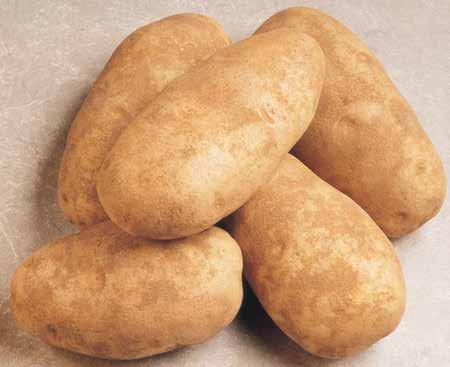 Bag Russet Potatoes 0 Lb.
