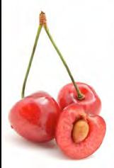 Fleshy fruits: Drupe