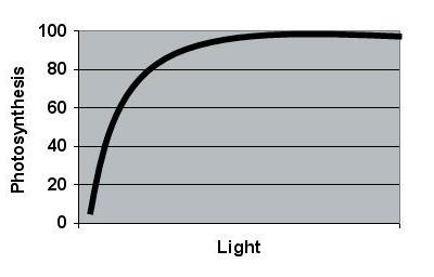 If we consider the total amount of light that is received by a given piece of ground during the course of a year only a small fraction of that light actually results in harvestable yield (Fig. 2).