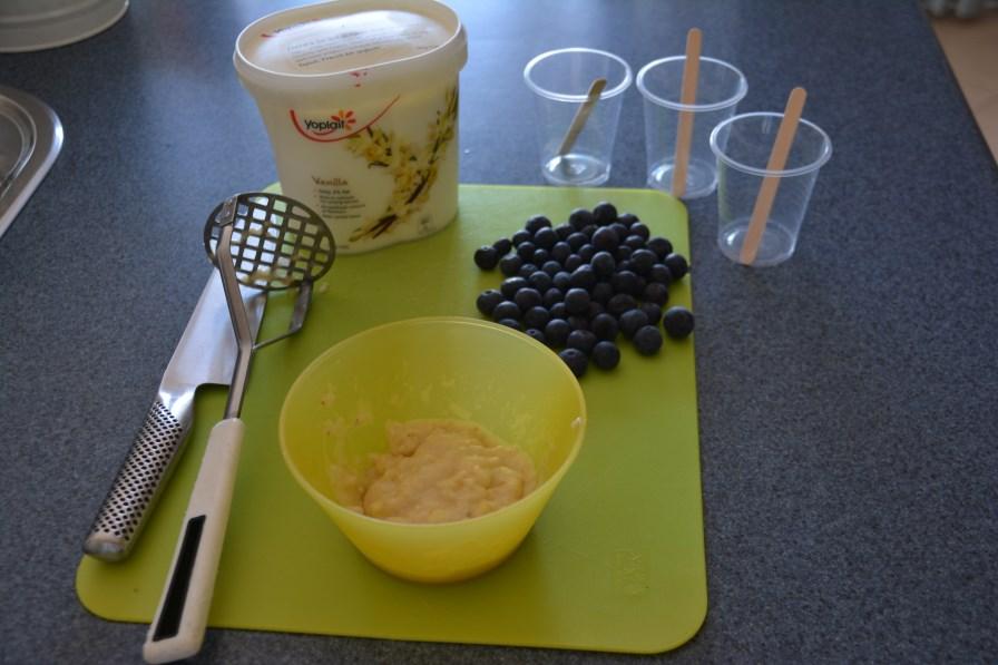 Banana Blueberry Frozen Yoghurt Serves: 16 Green Ingredients 1. 2 medium bananas 2. 1 punnet blueberries or 1 cup of frozen blueberries 3. 1kg low fat vanilla yoghurt Method 1.