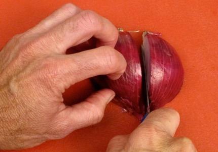 Cut a red (or any) onion in half lengthwise (from root to stem, as