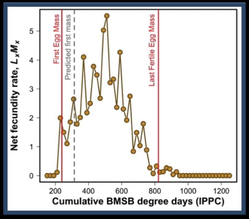 First egg mass found near the start of the predicted reproductive period The IPPC model predicted eggs a little late (314 vs.