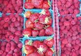 Strawberries Raspberries