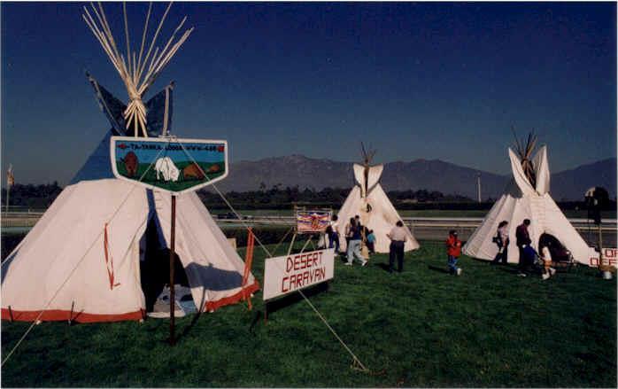 They also used buffalo hides to make cone shaped tents called teepees. These people planted beans, squash and sunflowers.