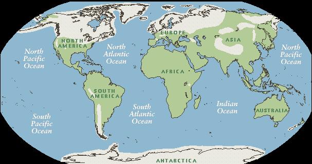 THE LAST ICE AGE: 1. Between 20,000 and 40,000 years ago during the last Ice Age, glaciers covered a large part of the Northern Hemisphere (North America, Europe, and Northern Asia). 2. Water level in oceans decreased due to increase in size of glaciers.