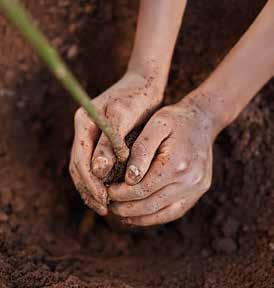 This community reforestation programme represents a new phase in our long-term Trees for Life campaign an initiative which has planted over three million trees around