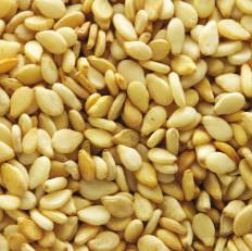 OIL SEED SESAME India produces a wide variety of sesame seeds that vary in color from white to black, and oil content ranging from 40% to 50%.