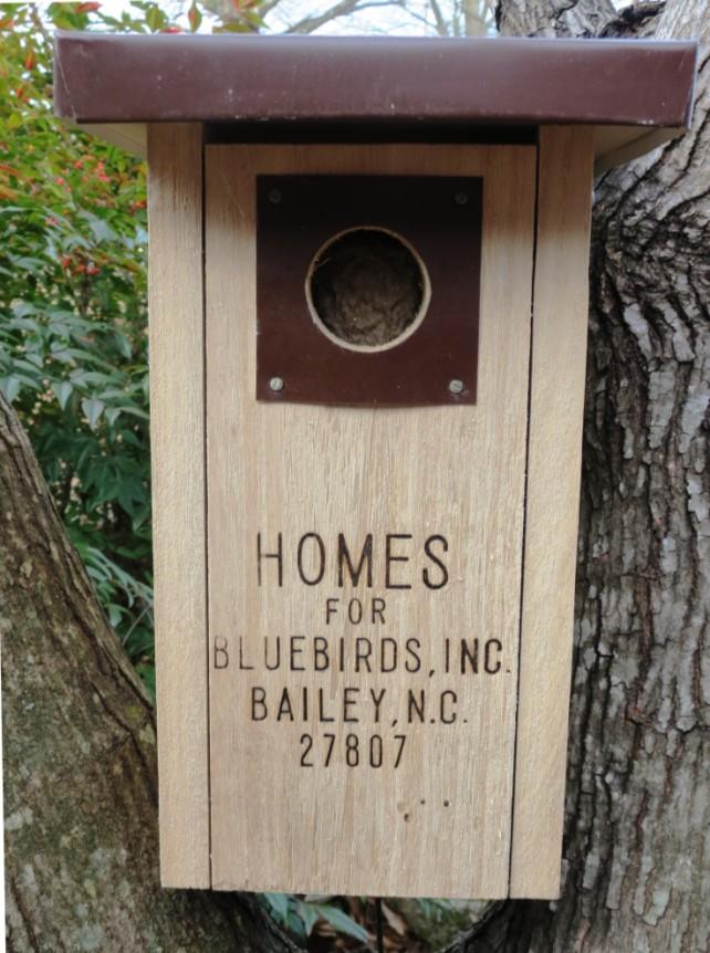 Bluebird Box $25 Just a few short years ago, the bluebird was nearly eradicated due to several reasons.