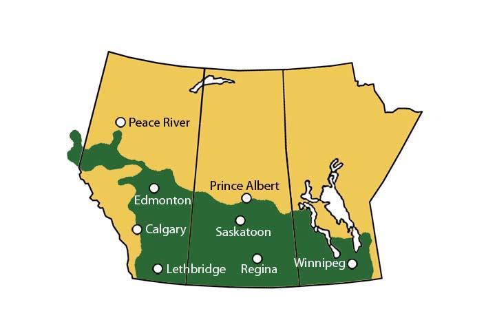 Figure 1 Map of Canada showing major wheat producing areas in the