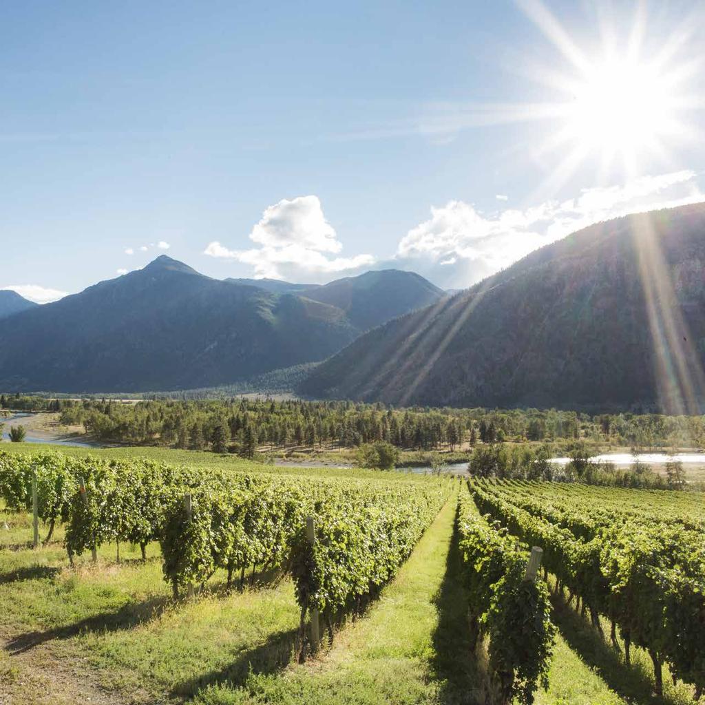MARKETING S, EVALUATIONS & HIGHLIGHTS BC VQA market share (litres) will increase by a minimum of 6% more than increase in overall wine category in British Columbia. Expected to be met*.