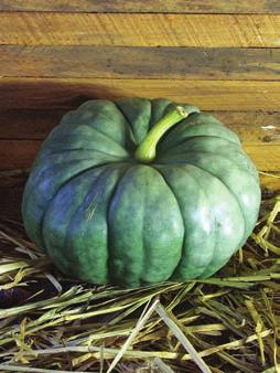 Jarrahdale: A unique slate blue-greengrey pumpkin from New Zealand.