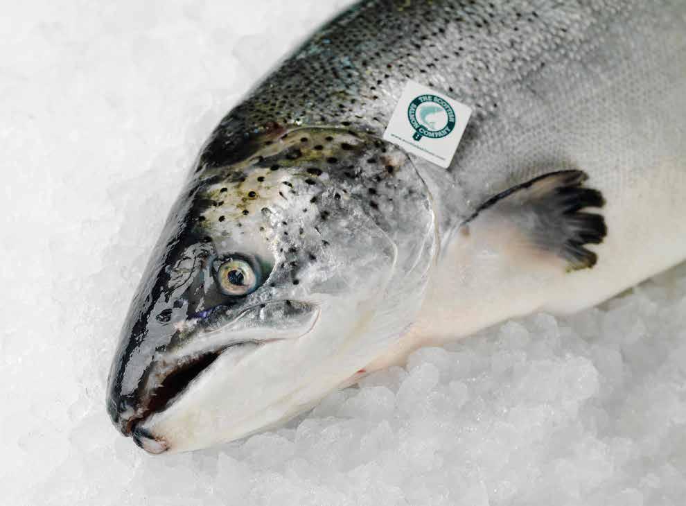 Processed in BRC (British Retail Consortium) accredited facilities Scottish farmed salmon guaranteed by European PGI scheme (Protected Geographical