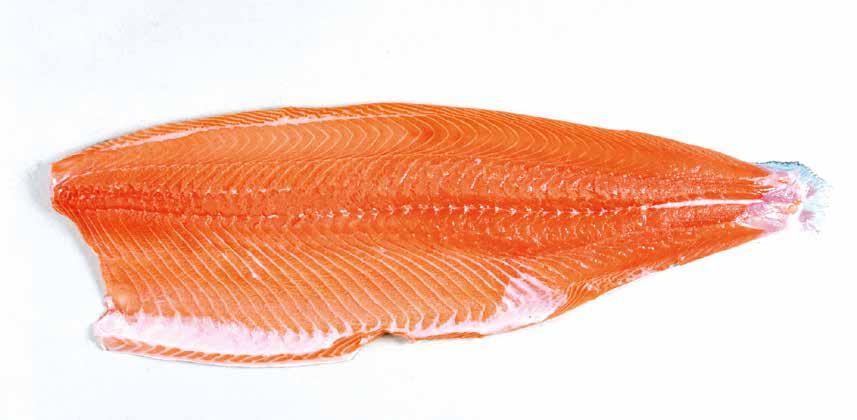 Scottish Salmon Pre-rigor Fillets Trim C Trim D Trim E skinned Flesh