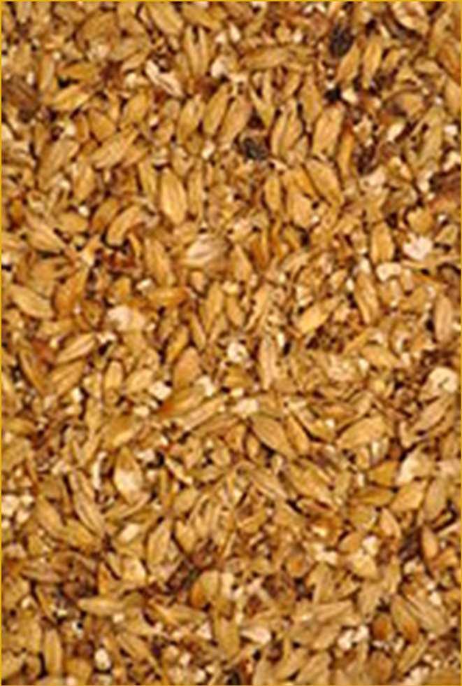 Malt Problems are minimised by: Mashing process; milling and hydration
