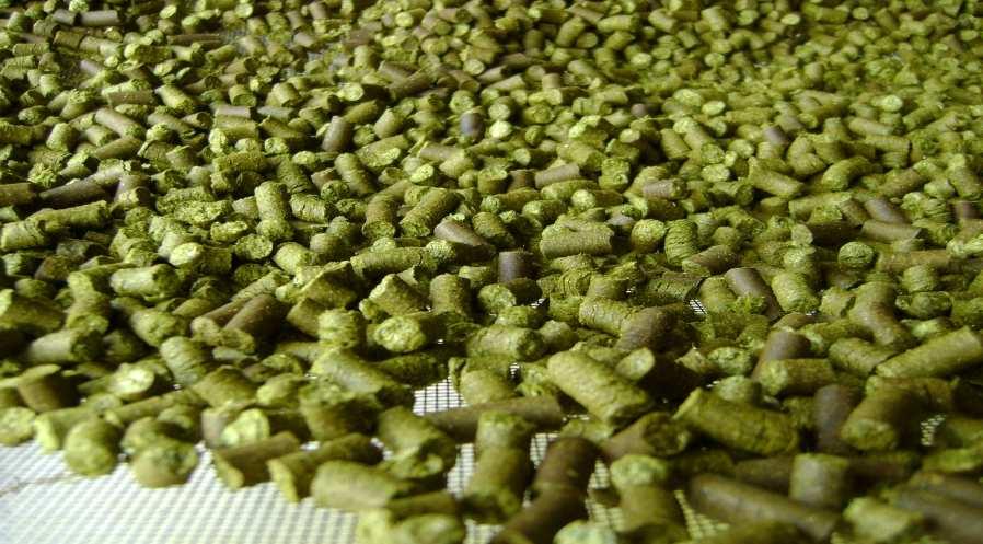 hops can be dealt with Cold side