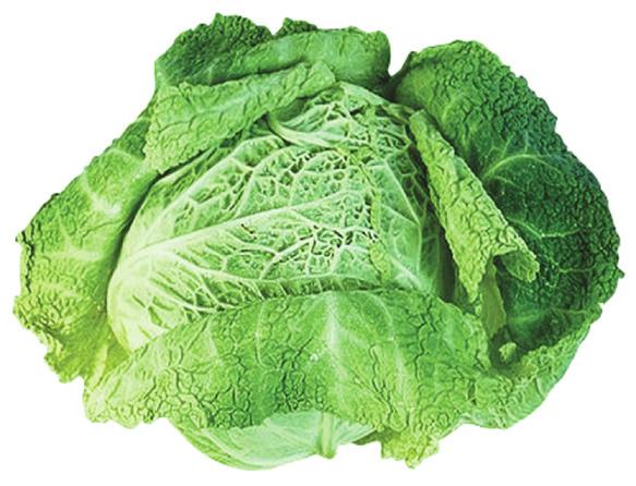 CABBAGE Choose large, tight, unsplit heads Heads should be heavy and free of decay Store uncut in the refrigerator up to 2 weeks Cover loosely with plastic Do not rinse before storing Prepare raw,