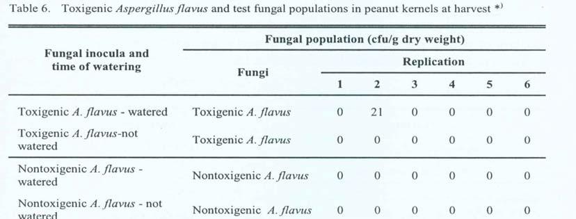 Control of aflatoxigenic Aspergillus flavus in peanuts - Okky S.