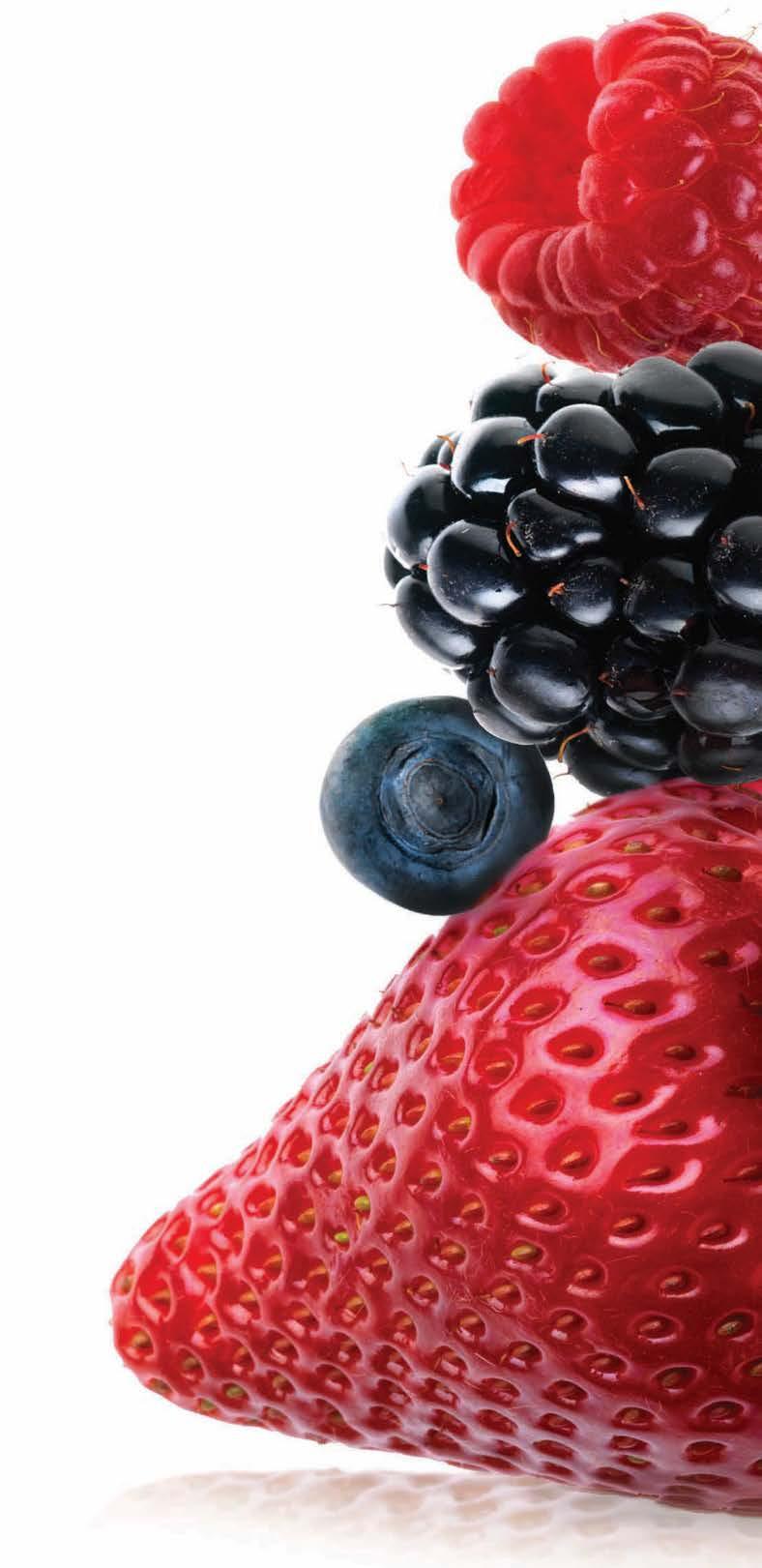 WE ARE A TOTAL BERRY SOLUTION Naturipe delivers very unique advantages: Partner with Growers Global leader in production, sales and marketing Conventional and Organics