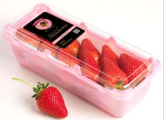 NEW BOUQUET LONG STEM STRAWBERRY Premium Long Stem strawberries