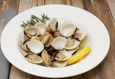 Clams Inventories of super surfer and regular sized Atlantic clam strips are non-existent.