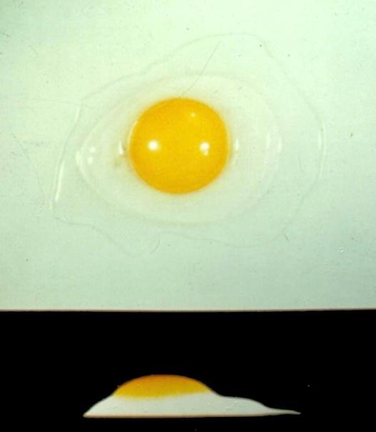 INTERIOR EGG QUALITY As the egg ages, the thick white breaks