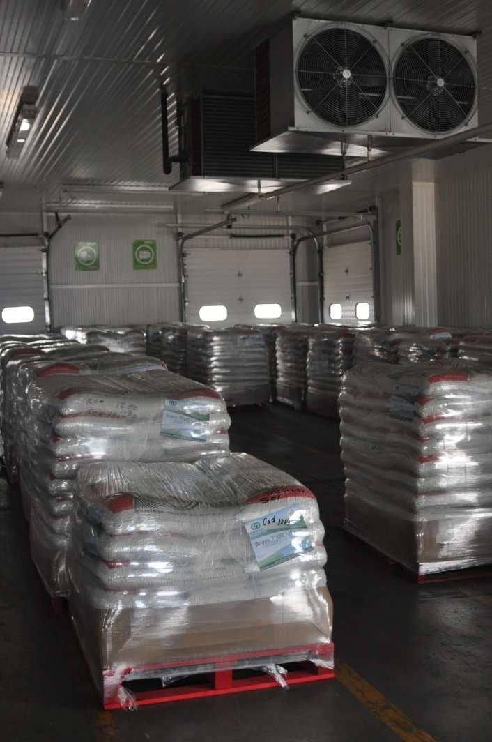 Mexican peruano beans awaiting export in Nogales,