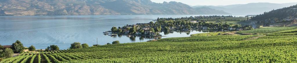 BC is an unparalleled wine and food tourism destination.