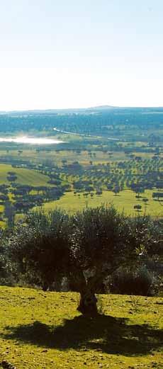 Scenery, Hunting and Tourism on the vast Herdade do Peral estate Herdade do Peral is the largest and most emblematic property.