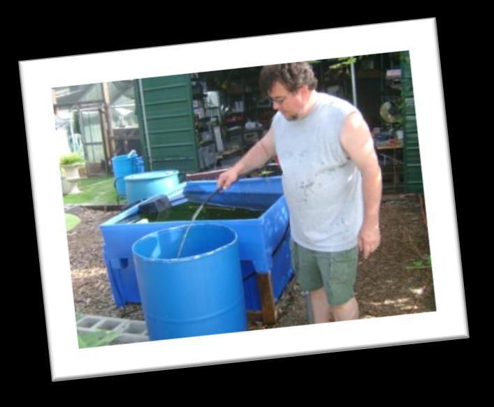Session 1: What we have grown with compost tea. Our history (my story) and my journey in making compost teas!