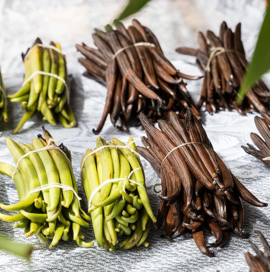 Each day, vanilla growers must walk their farms and hand-pollinate open flowers.