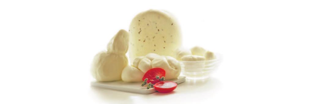Lactic Ferments Product Features Application Aromatic B Low acidifying mesophilic starter Fresh, soft, semi hard and hard cheeses.