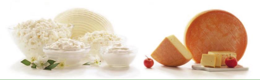 Product Features Application Lb. rhamnosus Enhance flavour and aroma Aromatic helveticus Highly aromatic culture Semi hard and hard cheeses Propionibacterium shermanii Eye producer.