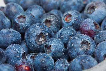 3 99 Fresh Blueberries