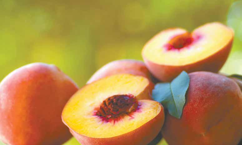 produce Yellow Peaches