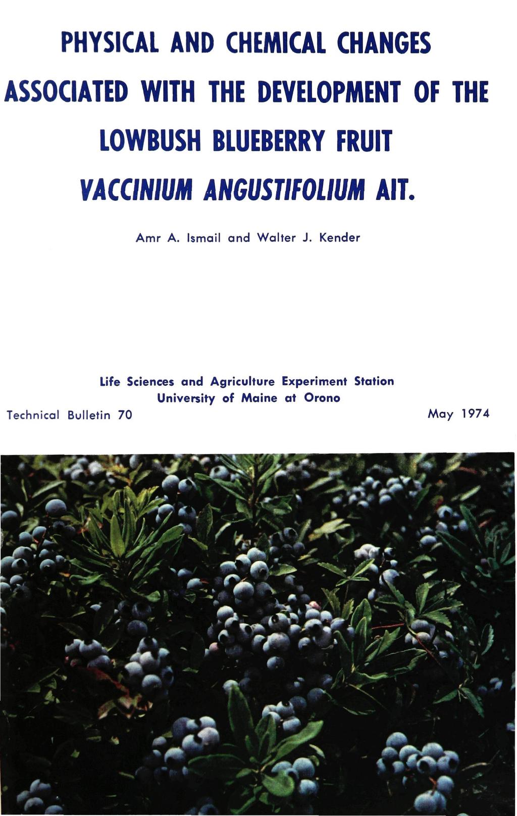 PHYSICAL AND CHEMICAL CHANGES ASSOCIATED WITH THE DEVELOPMENT OF THE LOWBUSH BLUEBERRY FRUIT VACCINIUM ANGUSTIFOLIUM AIT. Amr A.