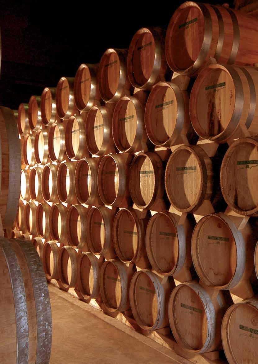 SPIRITS AND DISTILLED CASTAGNER CRAFT GRAPPA The distillery is now one of the most important in Italy bringing innovation to the world of grappa taking quality to the highest levels.