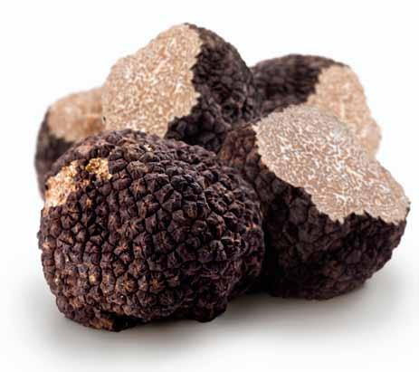 IN-OIL, PRESERVES AND SAUCES T&C - Truffles MARVELLOUS TRUFFLES Since 1990 s, Acqualagna based, T&C deliver to their customers truffles of the finest quality, both raw and semi-finished goods, at the