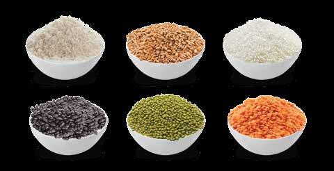 Pulses Rice Sugar Wheat Tin Ingots
