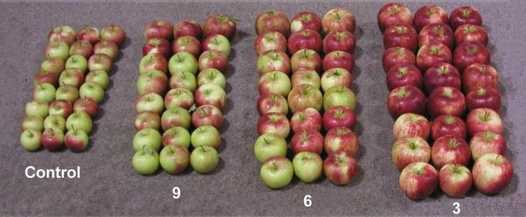 Fruit per cm -2 TCSA Ignored admonitions from DeLong et al.