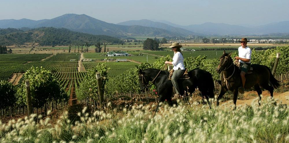 INTRODUCTION Heading out to the east, west and south of Santiago takes you through the stunning and fertile wine valleys of.