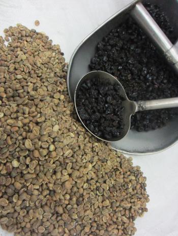 Roasting Services - Coffee Beans Specifications: - Mainly offers three varieties of roasting services Coffee Beans Roasting Corn Roasting Wheat Roasting ROASTING SERVICES Our roasting plant located
