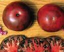 BEEFSTEAK Open Pollinated 85 days Extra large, meaty and ribbed deep scarlet fruit.