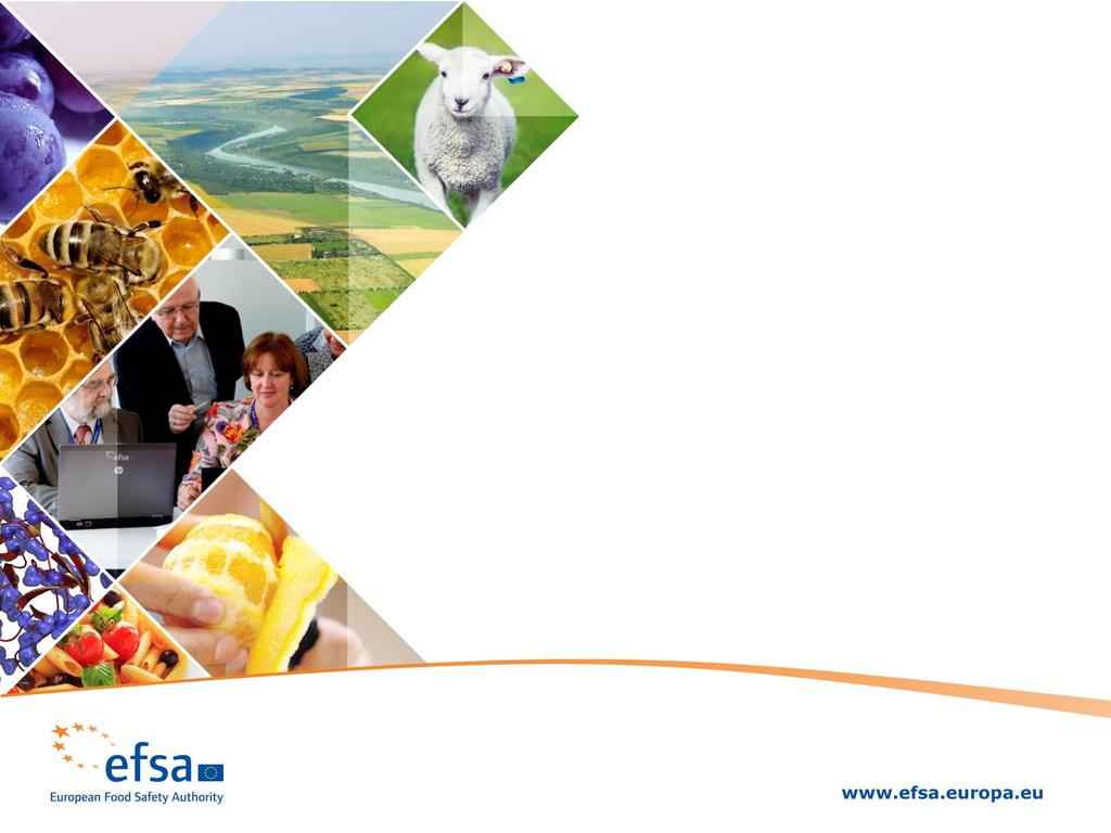 EFSA STAKEHOLDERS MEETING ON THE