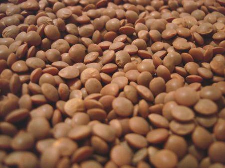 Lentils: Lens culinaris One of the first