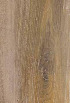 Chestnut oak Solid