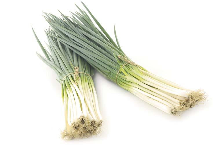 Green Onions TYPES, VARIETIES & CUTS Green onions are often referred to as bunched or spring onions, salad onions, or scallions.