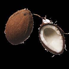 Coconuts Coconut (and its oil) is truly another superfood to add to your daily intake.