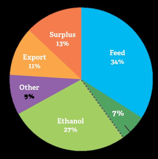 Uses of CORN 34% - Livestock Feed for cattle, pork and poultry 7%
