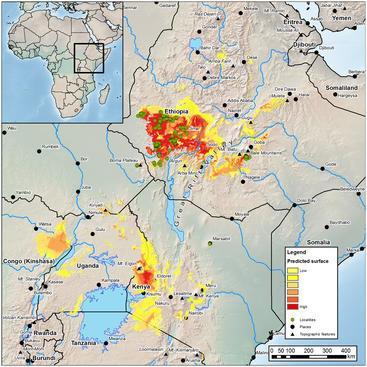 Understanding the environmental tolerances of Coffea arabica through mapping populations growing in wild in Ethiopia Severely